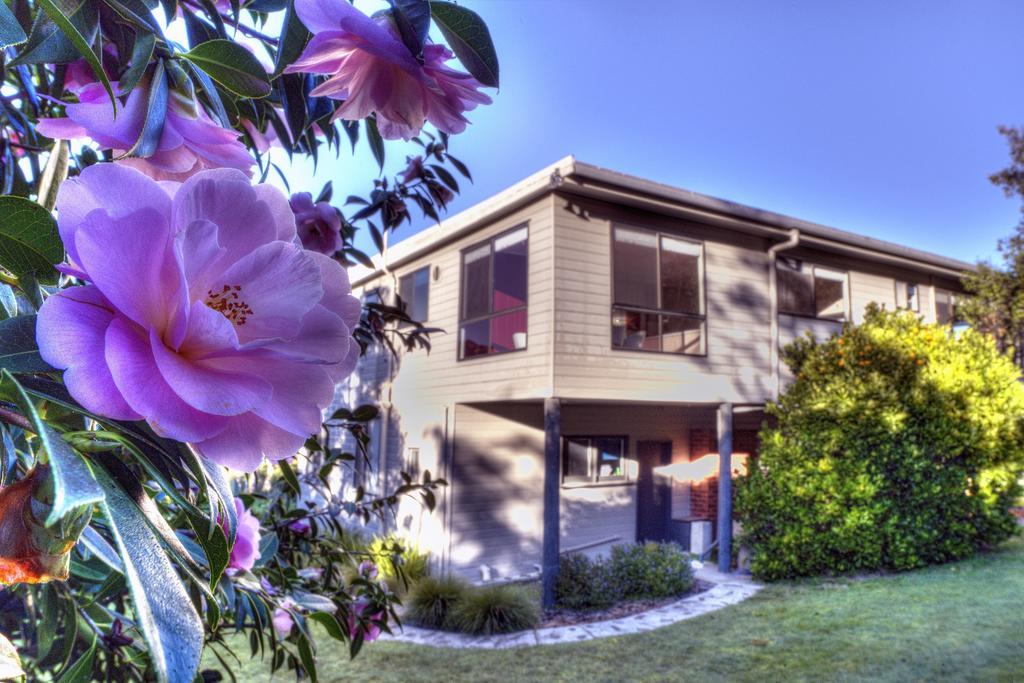 Cove Beach Apartment 2 Coles Bay Exterior photo